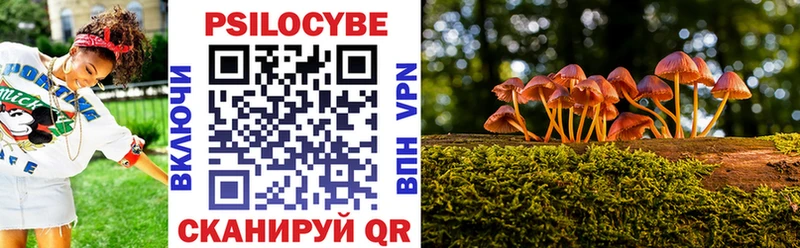 дарк нет состав  как найти   Гаврилов Посад  Псилоцибиновые грибы прущие грибы 
