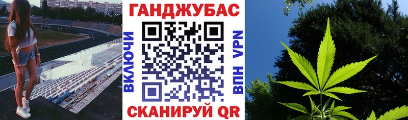 купить наркотики цена  Гаврилов Посад  Бошки Шишки планчик 